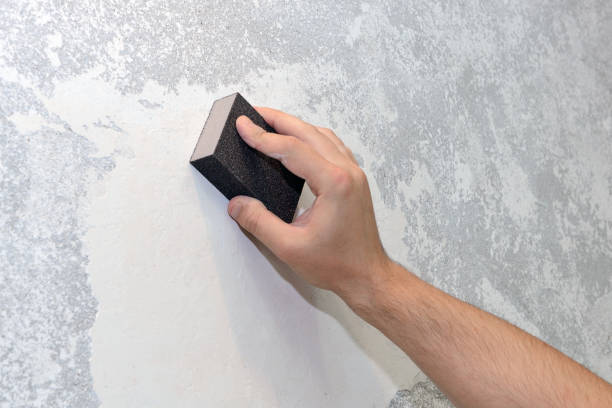 Best Post-Construction Mold Inspection  in Pinch, WV