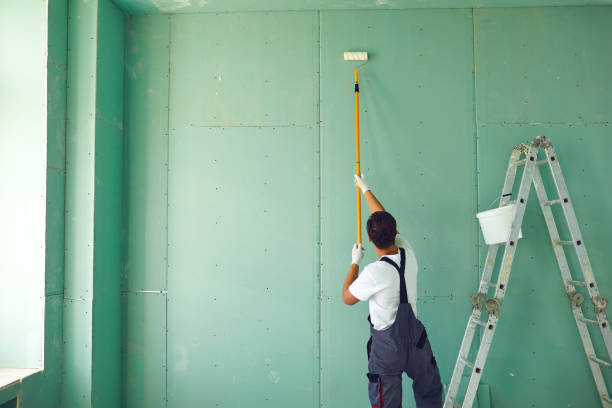 Mold Removal for HVAC Installations in Pinch, WV