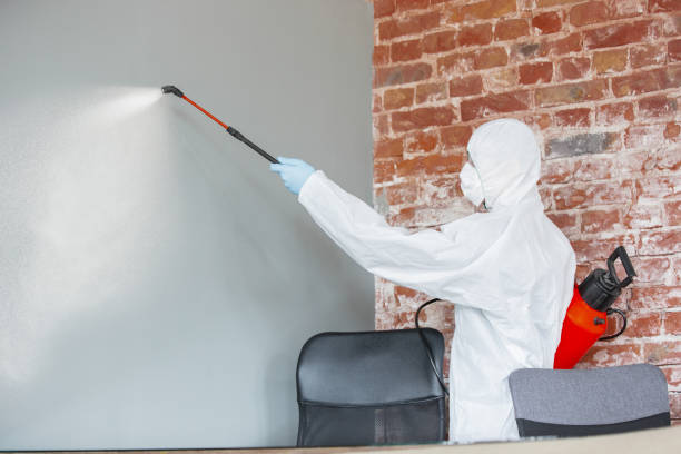  Pinch, WV Mold Removal Pros