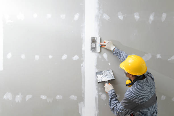 Best Industrial Mold Remediation  in Pinch, WV