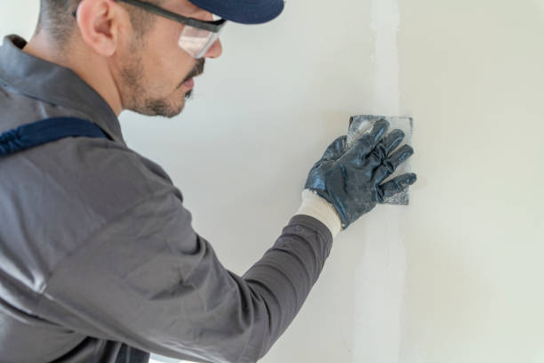 Best Dehumidification Services  in Pinch, WV