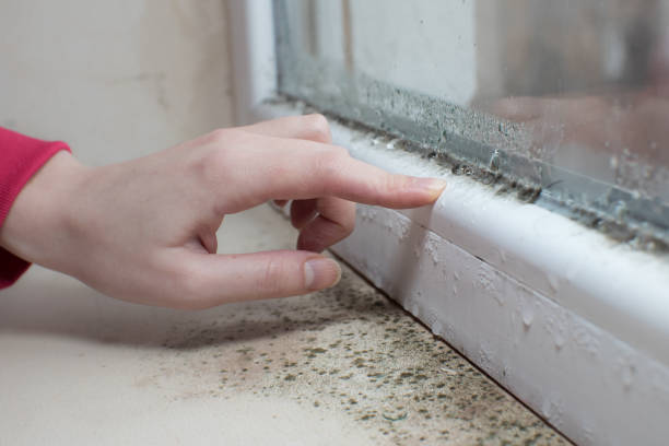 Best Indoor Air Quality Assessment  in Pinch, WV