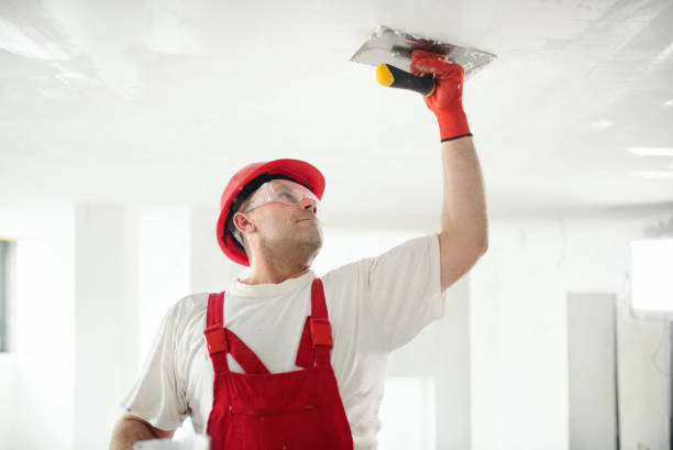 Best Comprehensive Air Testing for Mold Contaminants  in Pinch, WV