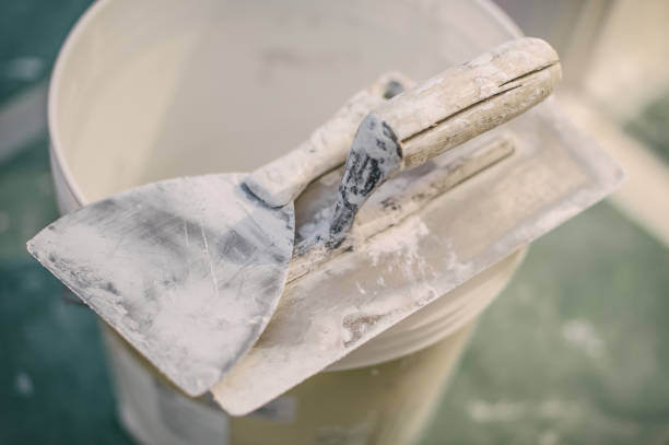 Best Basement Mold Removal  in Pinch, WV