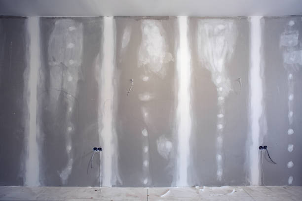 Pinch, WV Mold Removal Company